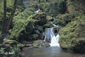 The Ibach ravine provides many cooling spots in hot summer.